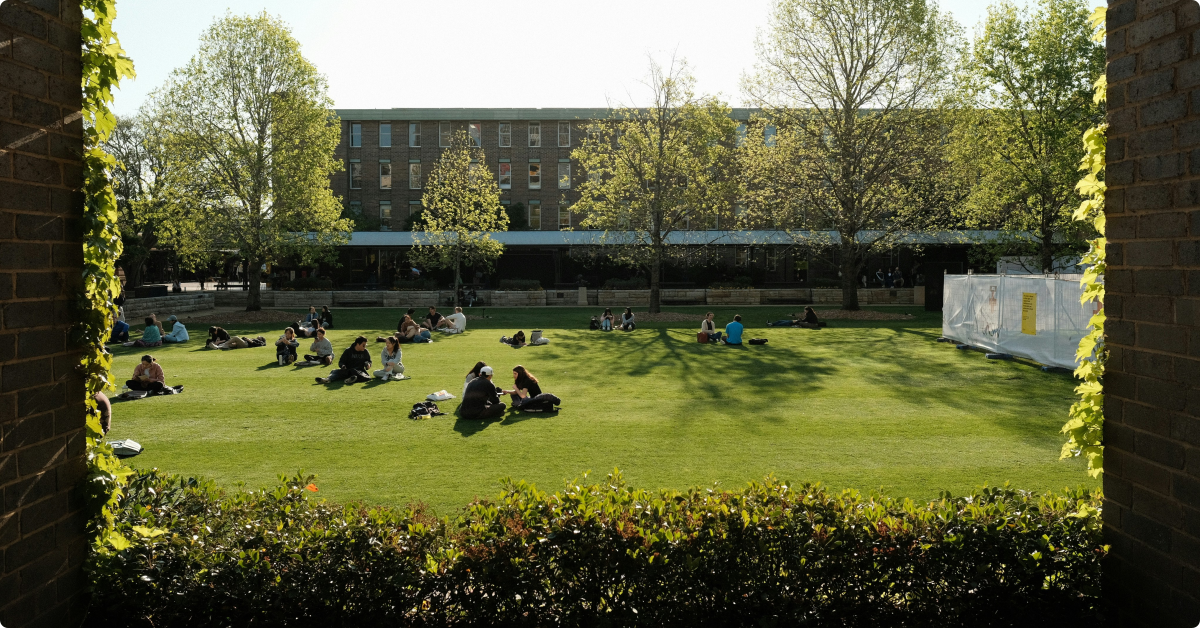 School garden